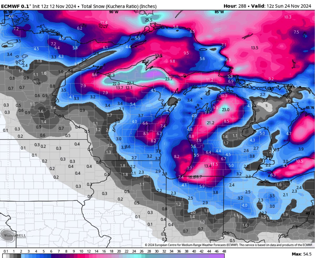 Craig Woods tweet media