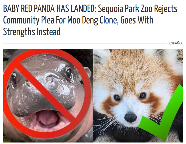 Might have just found the next huge memecoin on Solana.

$SAFFRON the Baby Red Panda might just be the Moo Deng killer?

The zoo said it themselves! Saffron over Moo Deng.

BWeCExEGteR8VL4bacWmFh8CG1qGjBFCdkFrxrUwpump

t.me/saffronCTO @Poe_Ether <a href="/CryptoTalkMan/">CTM</a> <a href="/realdogen/">Dōgen</a>