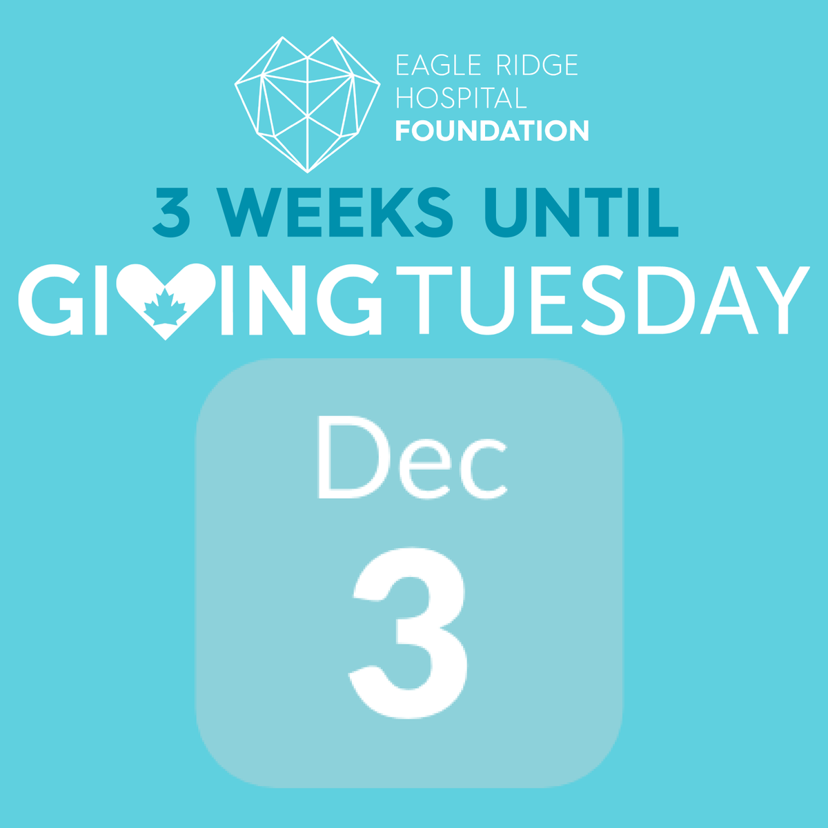 #GivingTuesday is just 3 Weeks Away!
On December 3, this global day of giving invites you to support causes that matter. Your donation to #ERHF helps provide essential equipment, fund programs, and enhance patient care at #ERH. Stay tuned —exciting announcements are coming soon.