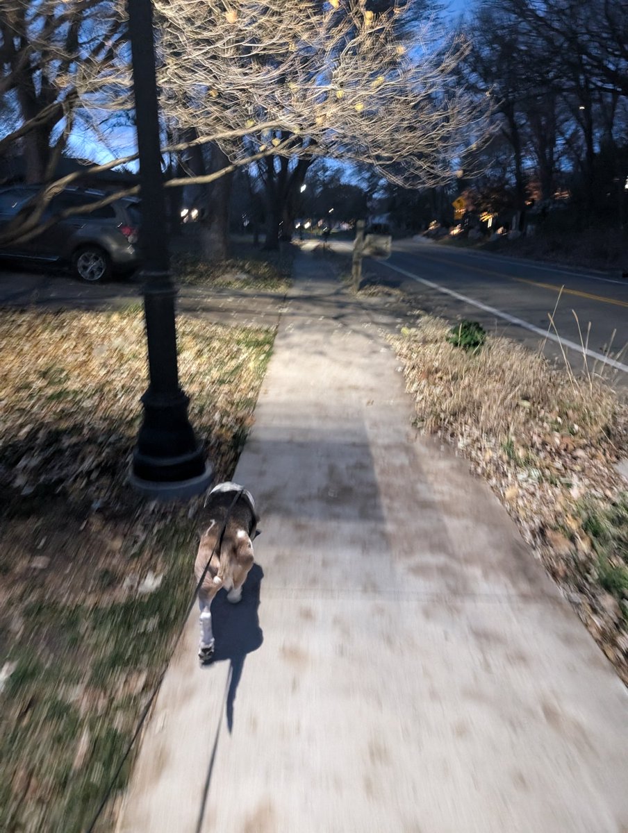 Megan Thompson tweet media