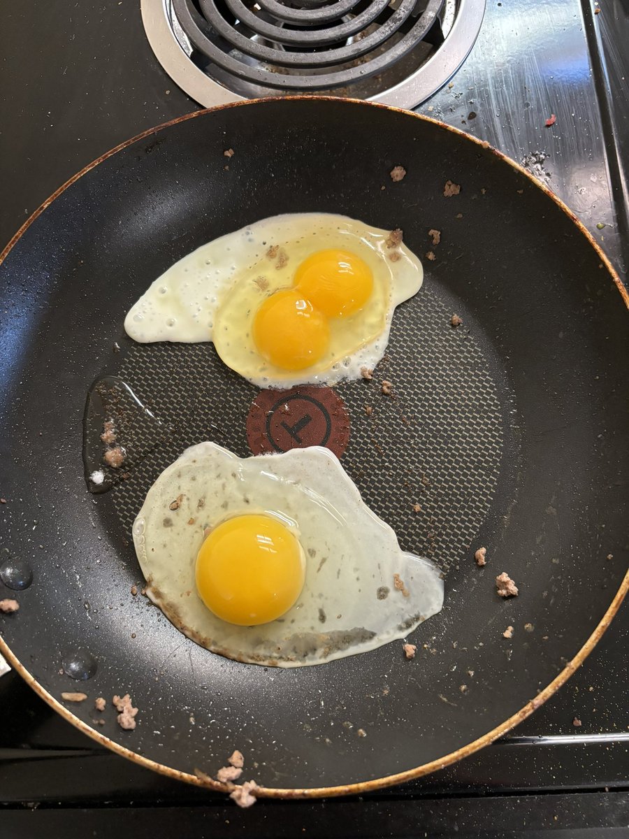 LyonAndrews22's tweet photo. Feeling lucky today after cracking an egg and it have twin yolks 

What does everyone think about this?

Lucky or unlucky?

#maga https://t.co/2FQjaS0OSG