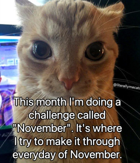 Meeix (pronounced: “makes”) (@meeix_) on Twitter photo 