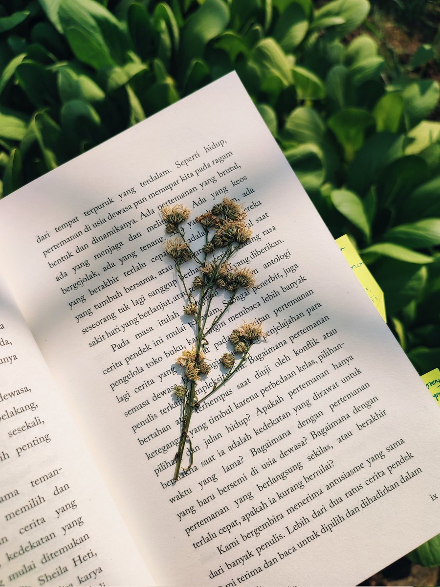 firgi ☁️ tweet media