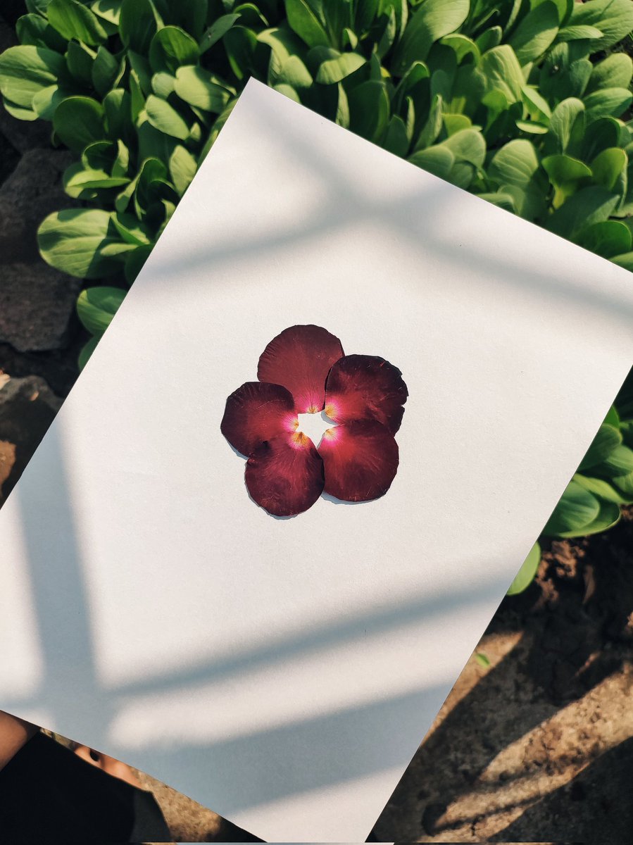 firgi ☁️ tweet media