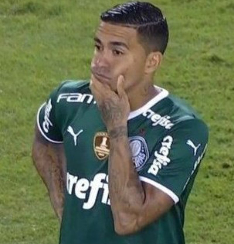 palmeirasHQ's tweet photo. Quem é Velo Clube??????? https://t.co/SkXl1bq5to