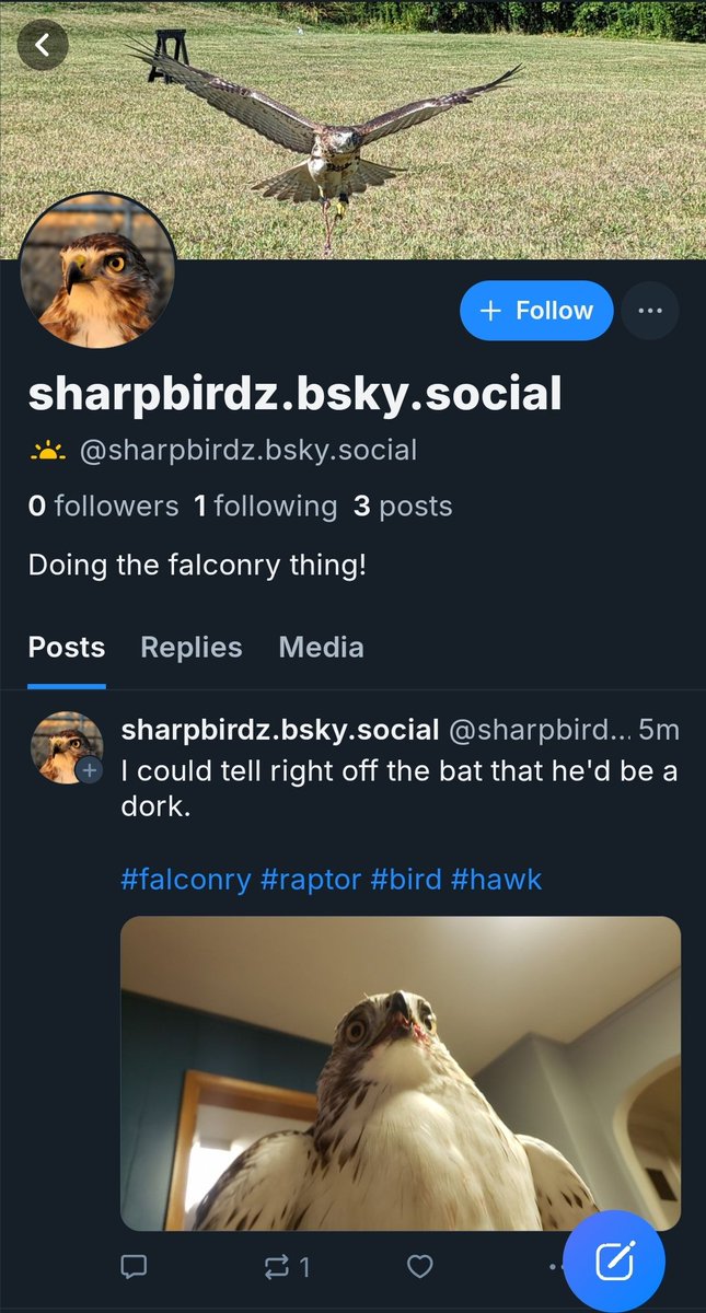 Please follow me on the other place in case this site implodes.