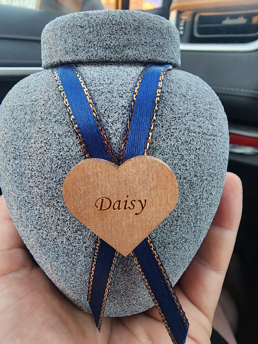 ViciousDrone tweet media