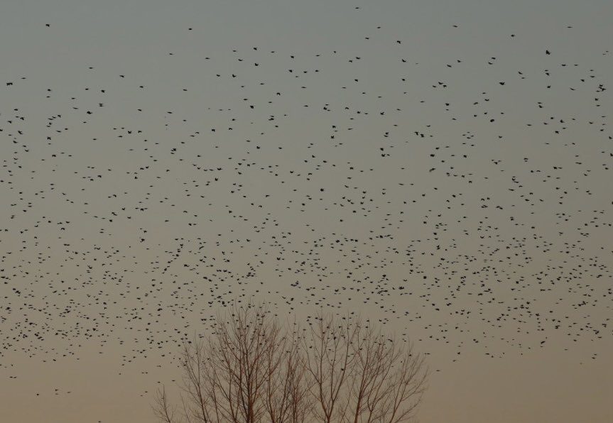 SK Winnicki, PhD tweet media