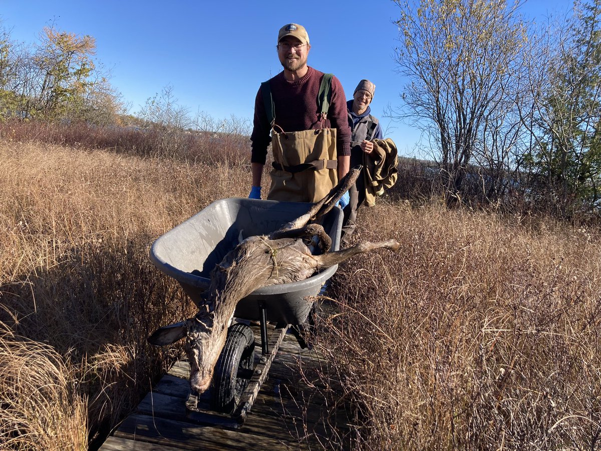 brad von blon tweet media