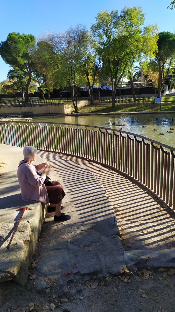 pelichoclo tweet media