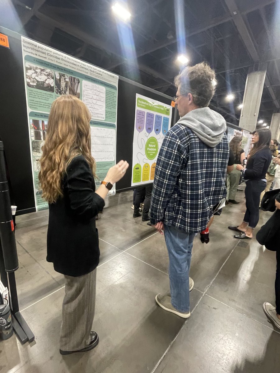 Samantha Kennett (@smkennett4) on Twitter photo First <a href="/EntsocAmerica/">Entomological Society of America</a> presentation in the books! And first time presenting my PhD research on crape myrtle bark scale! First <a href="/EntsocAmerica/">Entomological Society of America</a> presentation in the books! And first time presenting my PhD research on crape myrtle bark scale!
