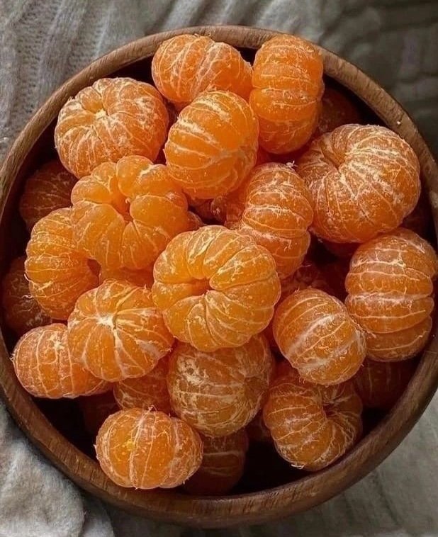 🍊🧡🍊🧡🍊🧡🍊🧡🍊