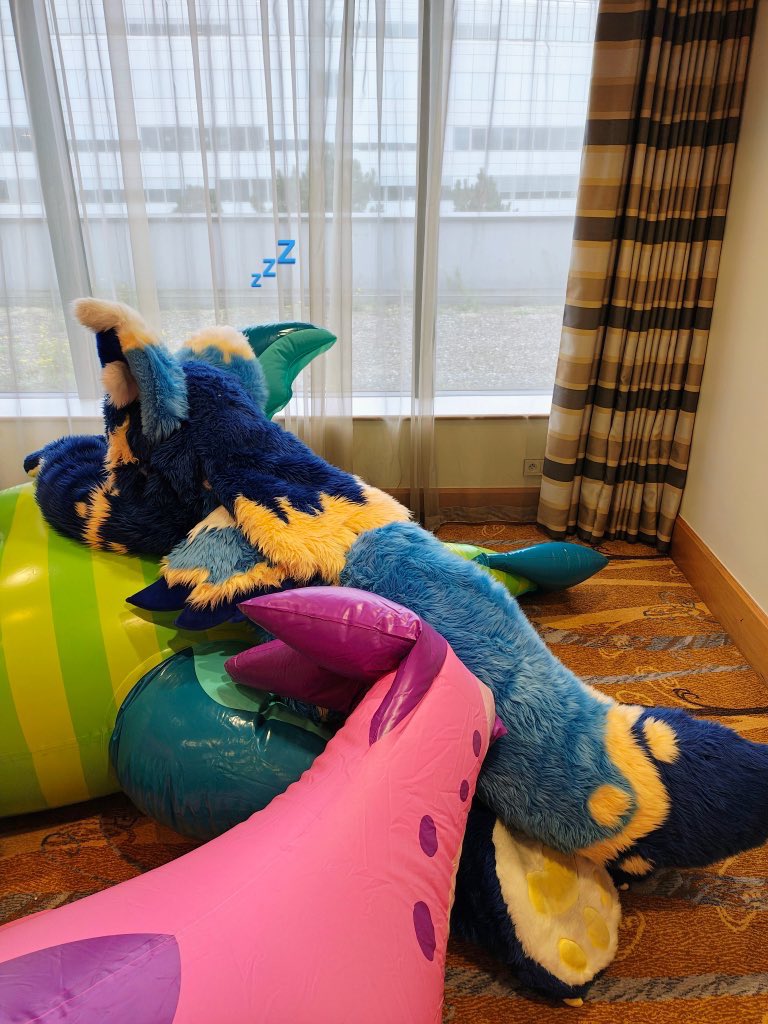 💙 Seli ✨ tweet media