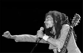 Portfolio Carmel tweet media