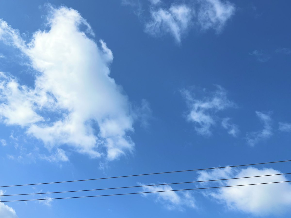 アイエムカンパニー【公式】 tweet media