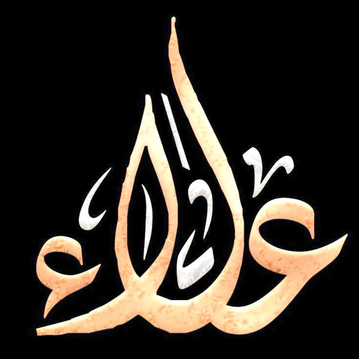 alaa amy tweet media