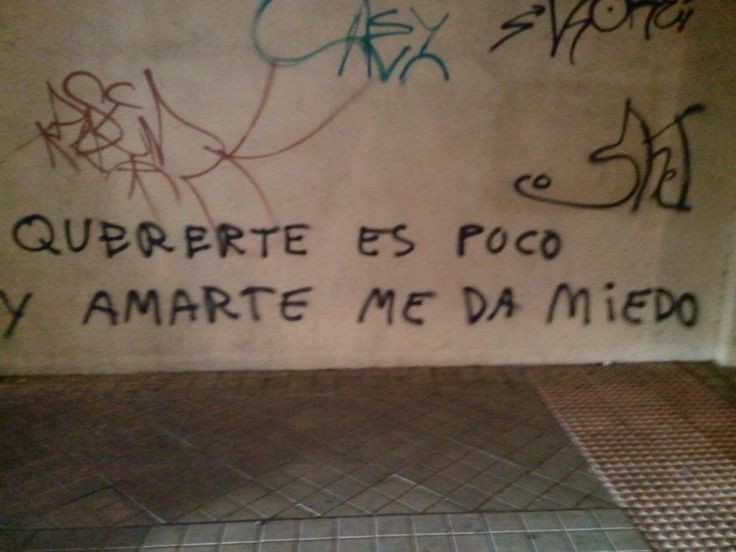 maxi tweet media