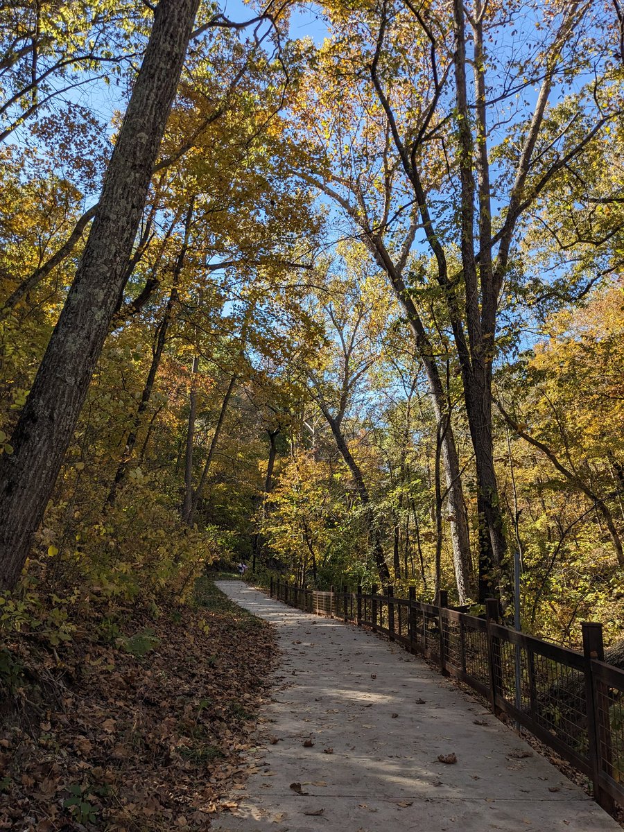 Cindy Gail Prince tweet media