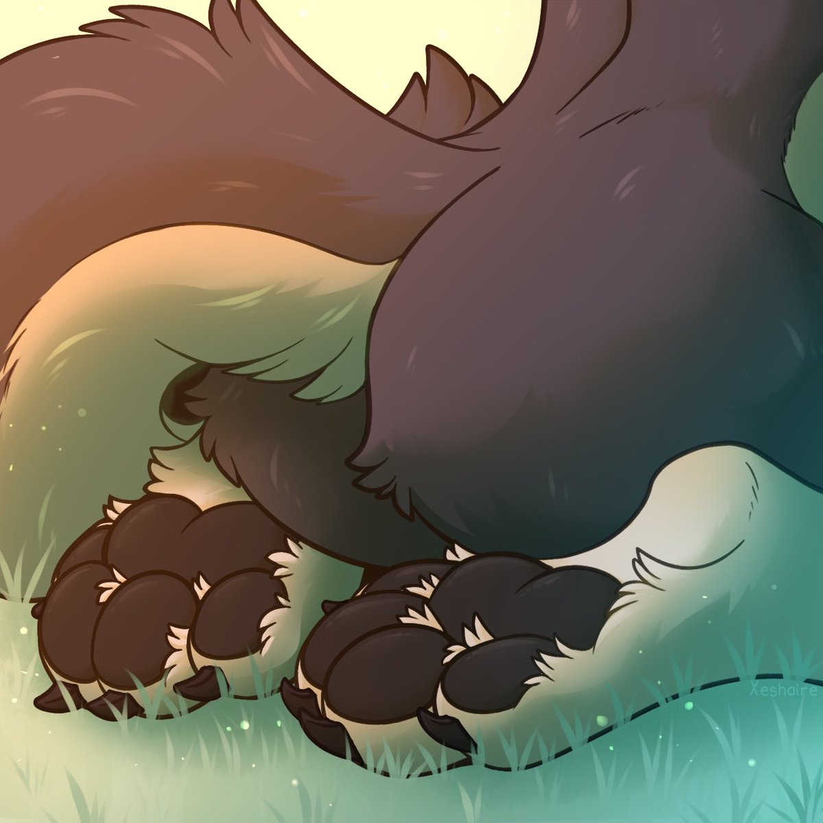 Paws? Paws.