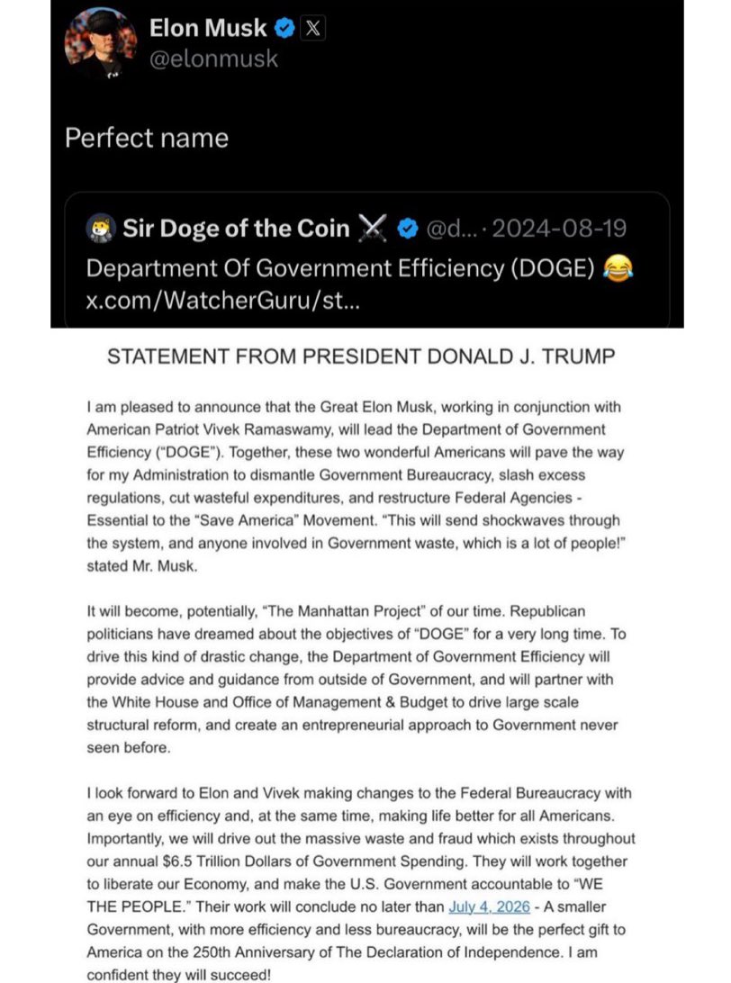 It’s official! 🚨 

The Department of Government Efficiency is happening! 😂