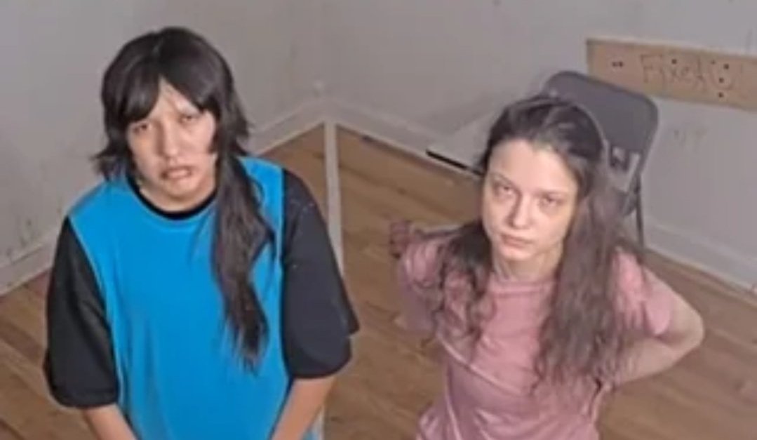 dogshittakes_'s tweet image. #FishTankLive #bbuk