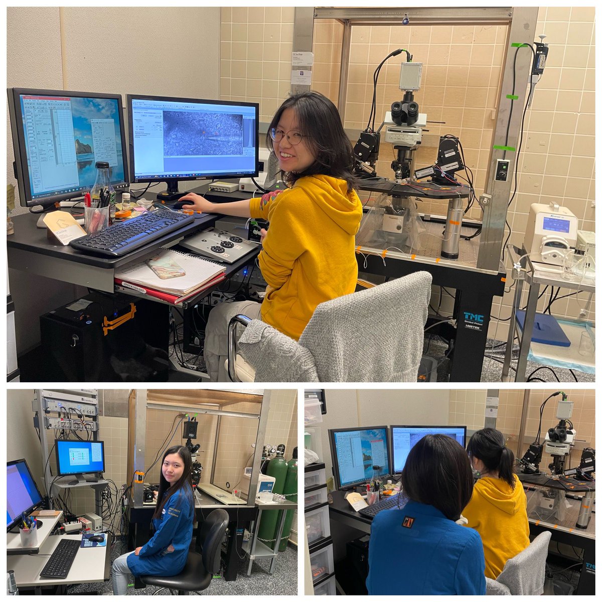 kallupi_marsida's tweet image. I love seeing lab members helping each other troubleshoot—especially with the always tricky ephys setups. Great day in the lab today!