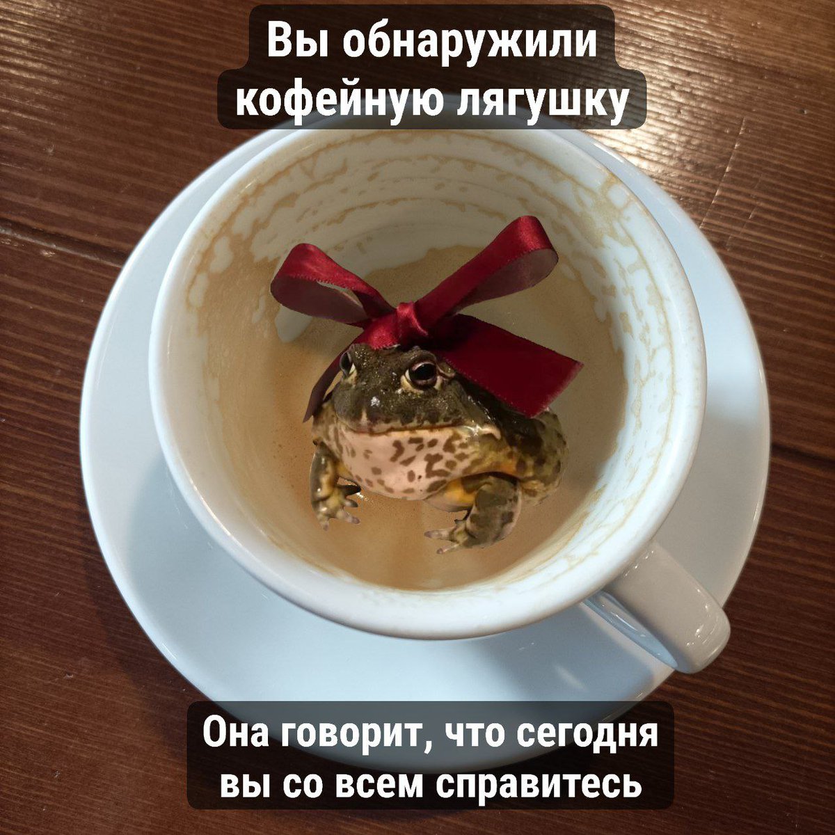 🐸жабья принцесса👑 (@kxiq7u7oc8nsgnc) on Twitter photo 