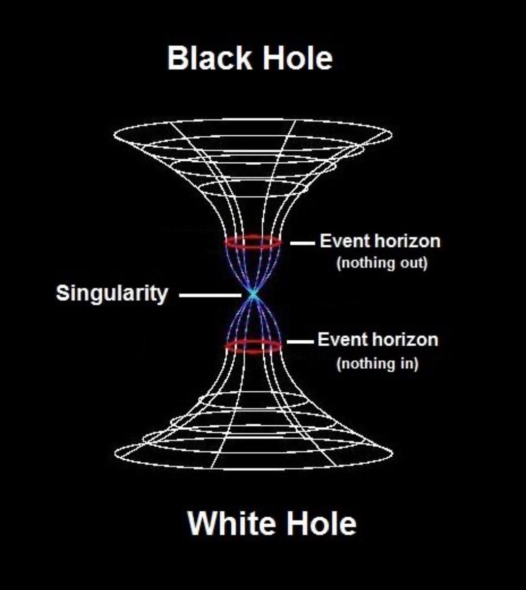 “Everything starts from a dot.” 

~  Wassily Kandinsky