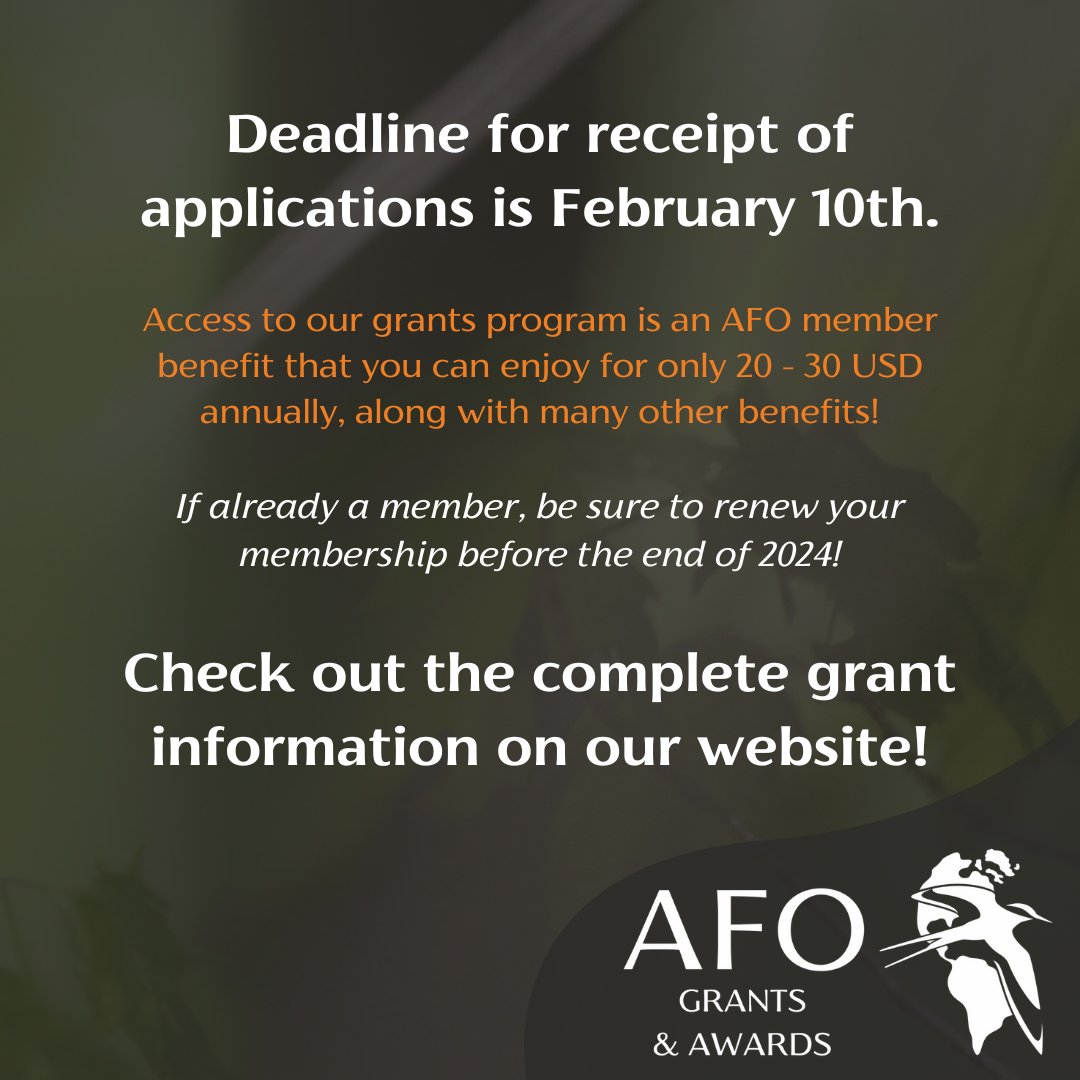 Association of Field Ornithologists tweet media