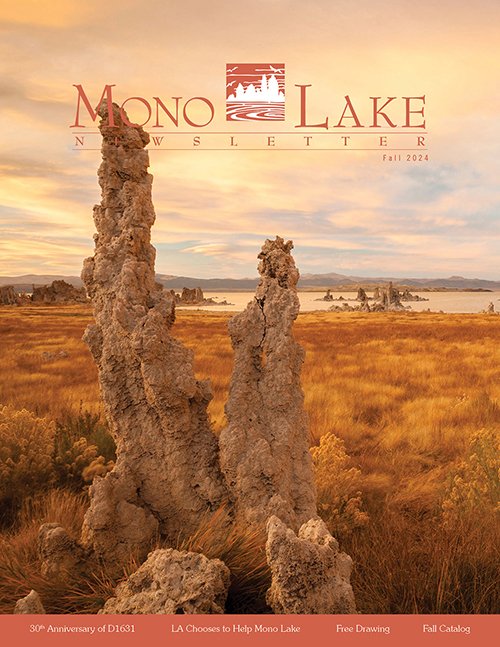 Fall is turning to winter here at #MonoLake, so cozy up with our latest issue of the Mono Lake Newsletter to catch up on all the news! monolake.org/newsletter 📷 courtesy of Robb Hirsch.