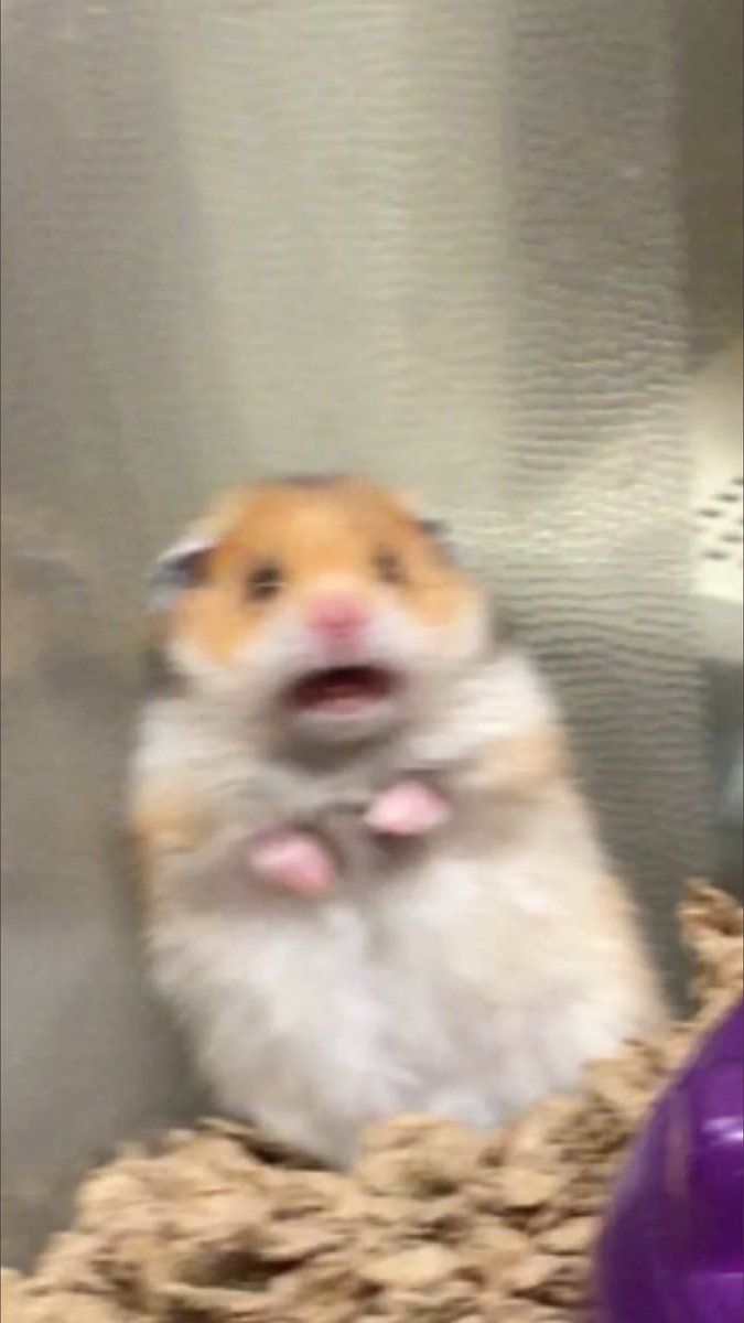 Me getting these cabinet member appointee alerts