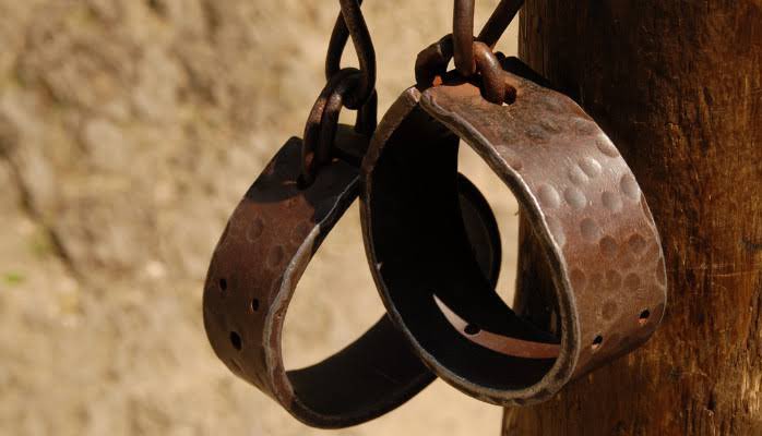 Tango Lima tweet media