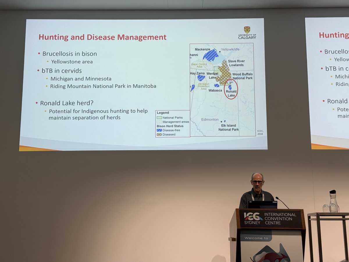 drwaseemshaukat's tweet photo. Prof. David C. Hall from the ⁦@ucalgaryvetmed⁩ ⁦@UCalgary⁩ makes an excellent talk at the #ISVEE on preferences of Canadian hunters’ for behavioural change based on perceived risk of zoonotic diseases from wood bison. #zoonoses #isvee17 #isvee2024 #bison #hunting https://t.co/neIiLOjYfY