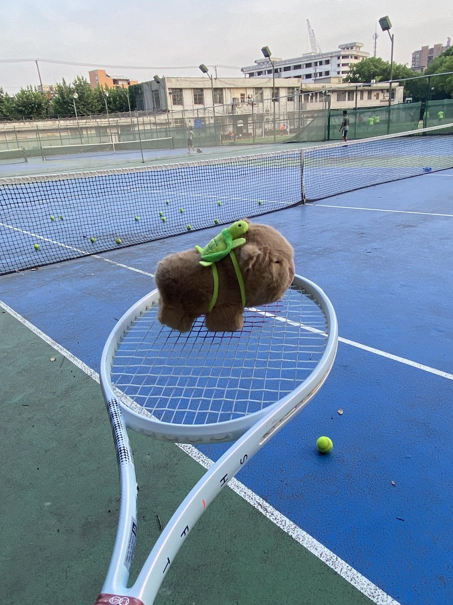 🎾 Swing with passion and meet every serve!