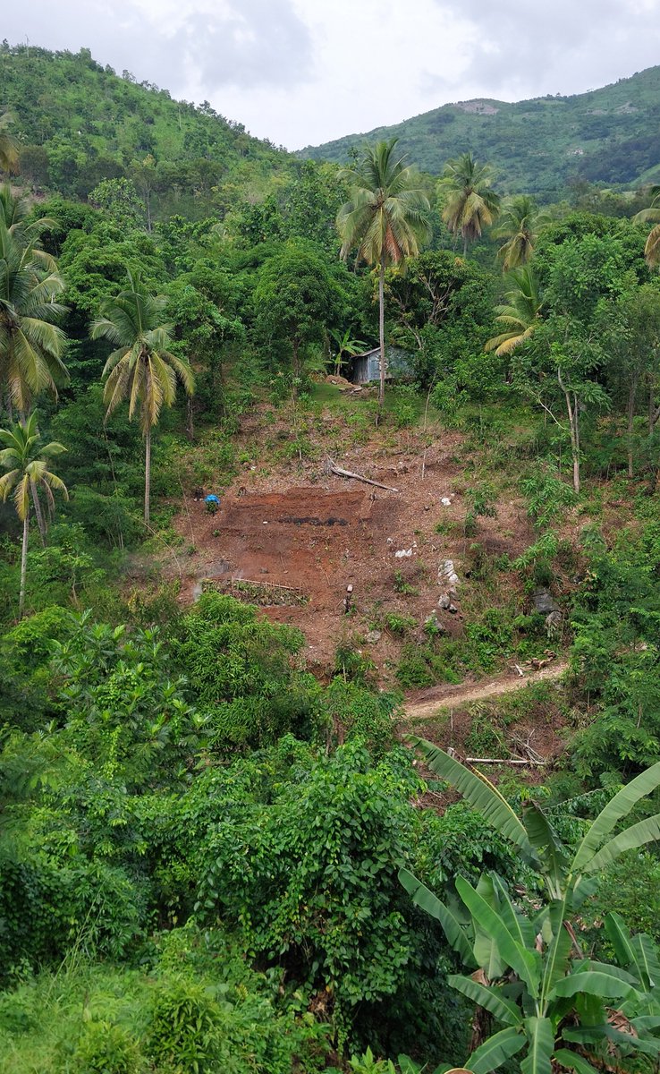 Sylvain Merlen tweet media