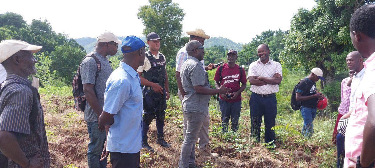 Sylvain Merlen tweet media