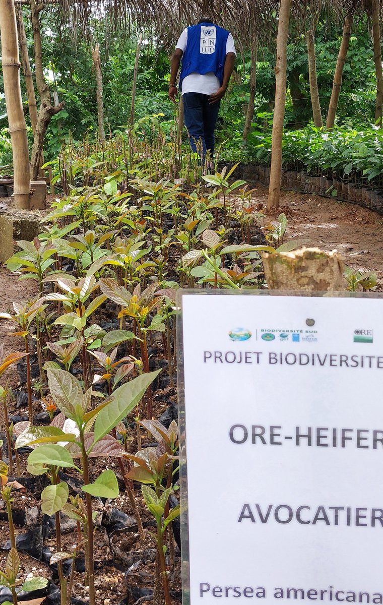 Sylvain Merlen tweet media