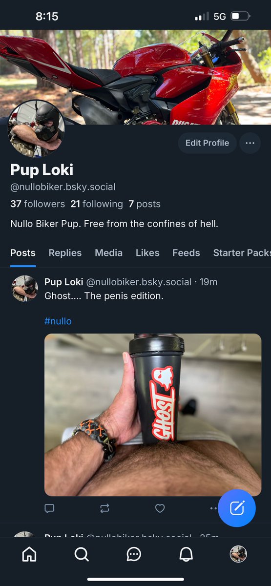 Pup Loki tweet media