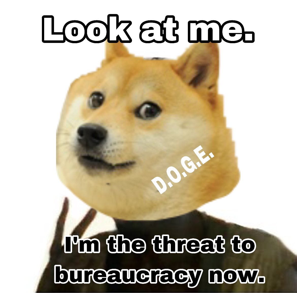 TRHLofficial's tweet image. LFG!