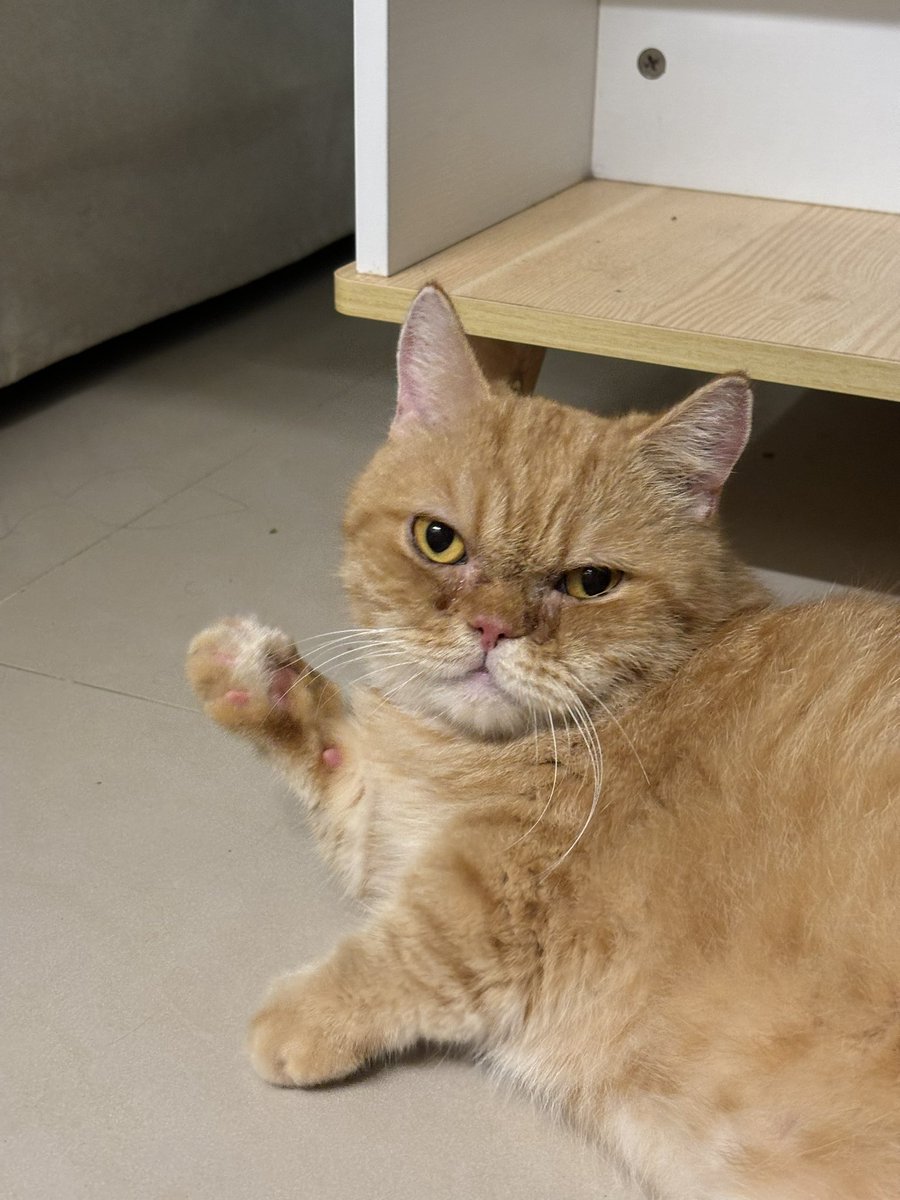 下禮拜要去PASIWALI好期待🥹🥹