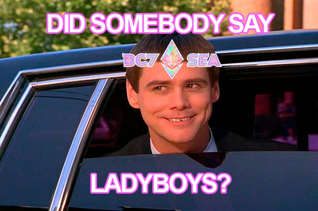 Ladyboy on Sol (@ladyboycoin) on Twitter photo 