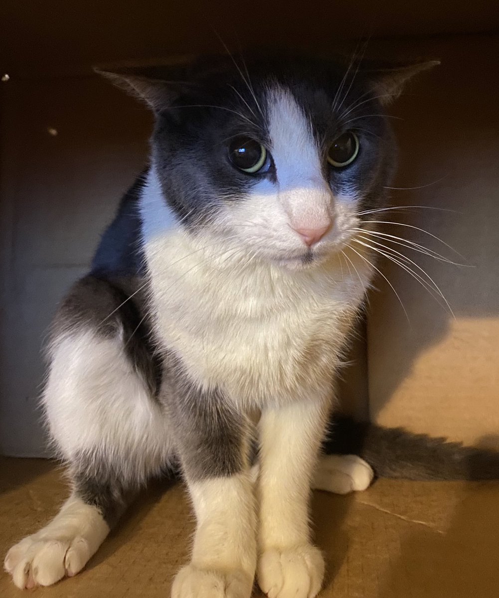 sogful's tweet image. 