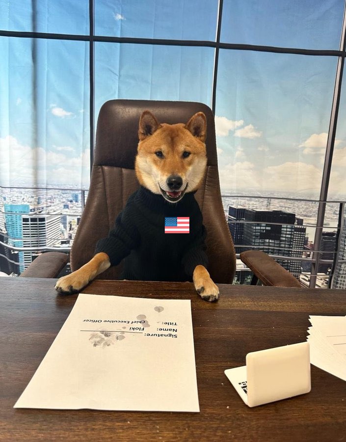 DogeDesigner tweet media