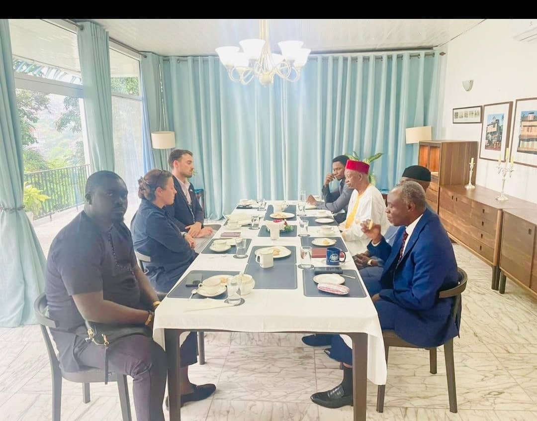 Your Excellency, Josephine Gauld,
We hope that your meeting with the compromised APC executive was focused on restoring democracy in Sierra Leone. The people of Sierra Leone are seeking the same standards of civility, transparency, and accountability that led to the Labor Party's