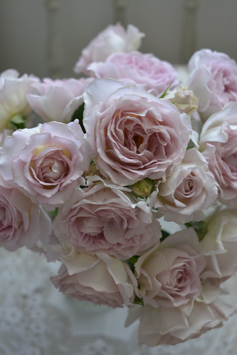 はなはなショップ