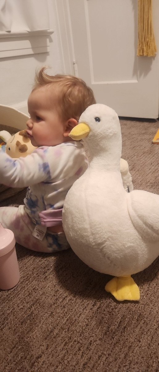 Malicious_fave's tweet photo. @Kidlink77 she's always playing with her goose plushie! She loves it! https://t.co/VwG5phhfVf