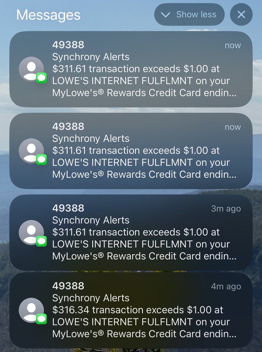jgillow's tweet photo. I think something weird is going on with @Lowes online ordering, got 2 credit card alerts before I even typed in my CCV to officially submit an order, then 2 more after submitting. https://t.co/aScEJXyh5E