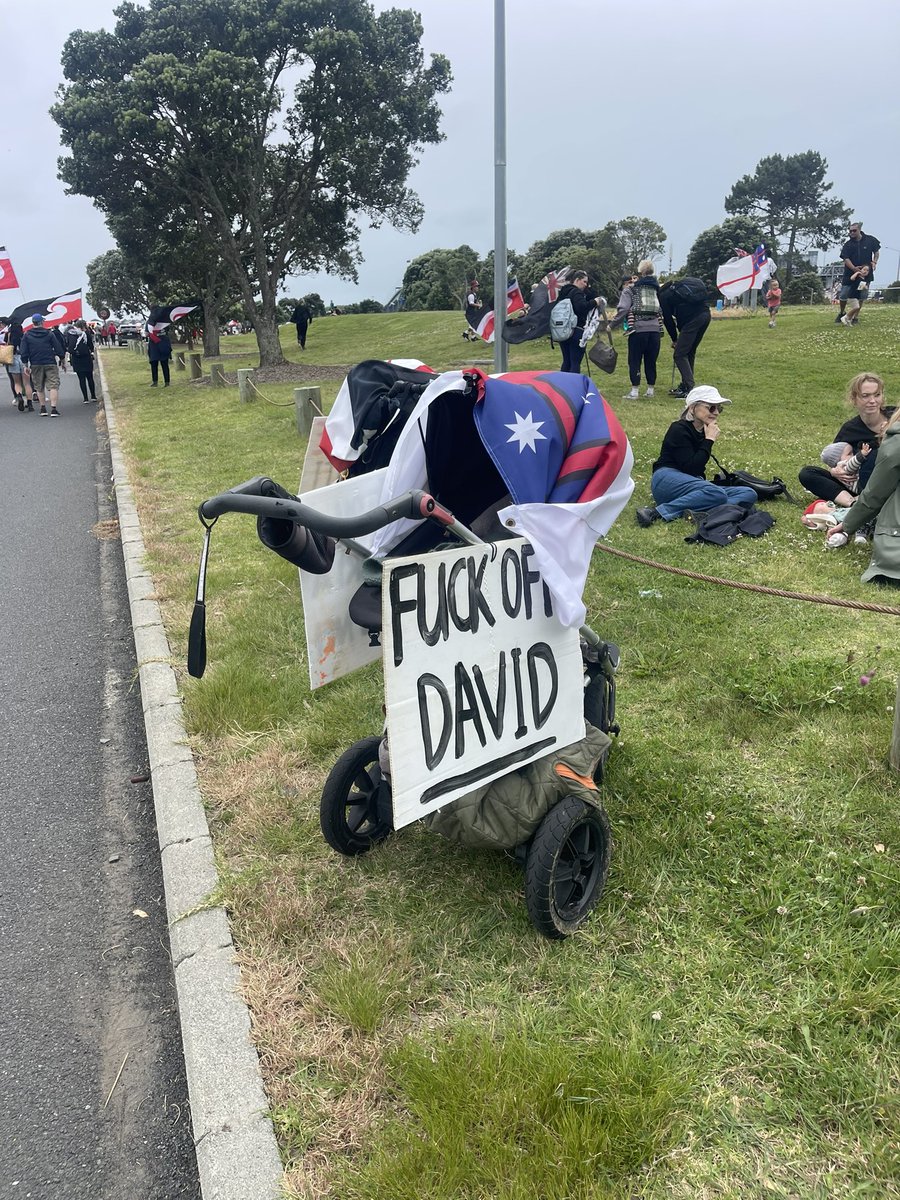 tauhenare's tweet photo. On the #Hikoi today we came across a few very cool placards, too many to single out. This one tho, the Best In Show. https://t.co/gOIkbUw0Mf