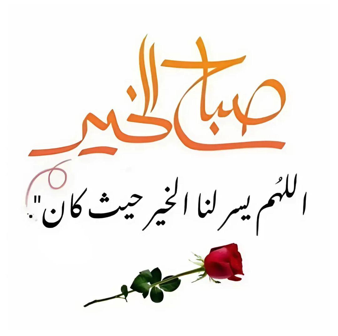 صباح الورد والياسمين على كل الموجودين 🌿🌹🌹🌹🌹