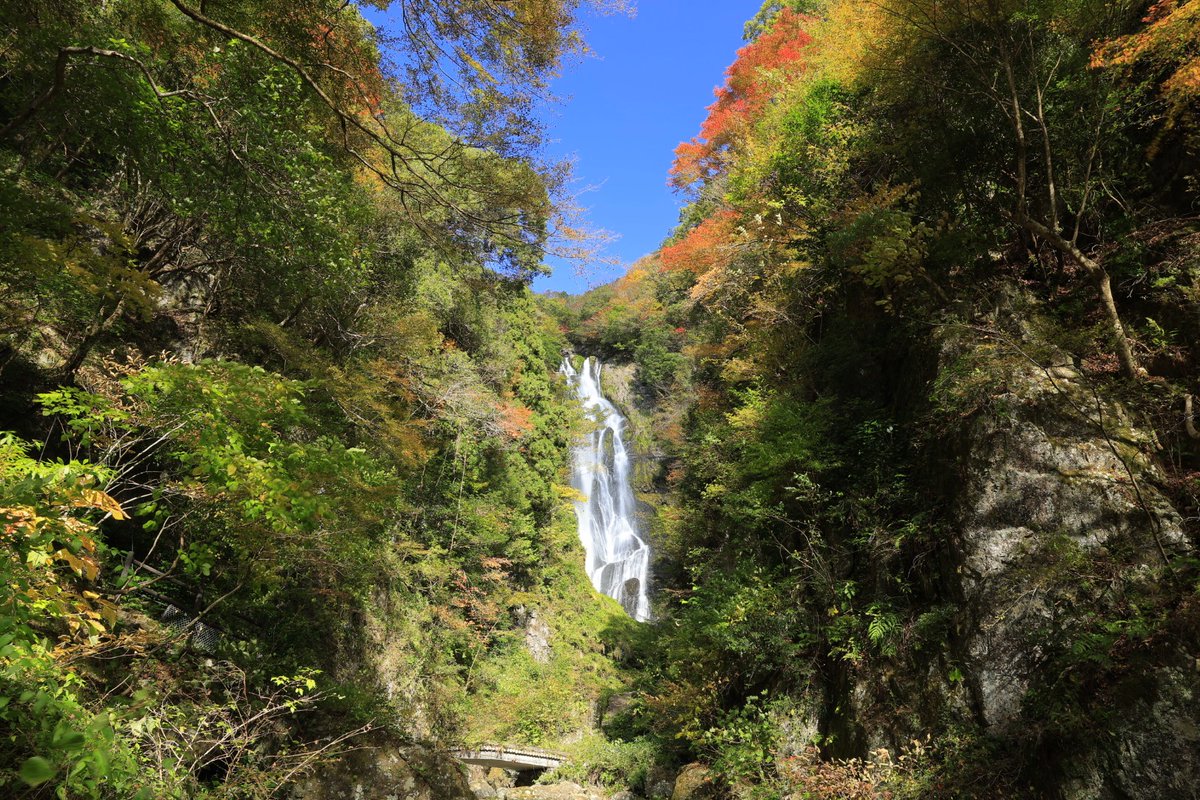 victoryship04's tweet photo. 神庭の滝に来たけど紅葉が見頃で良い https://t.co/W3bYS5O3ZB
